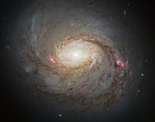 Messier 77 (image Hubble)