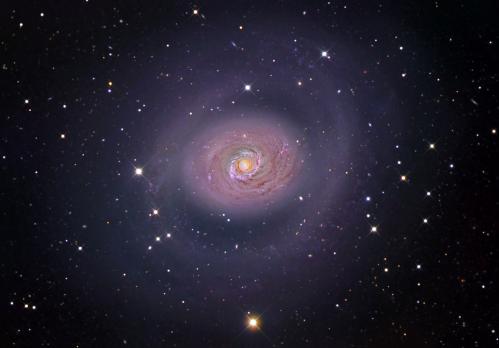 Messier 94 (image Emil Ivanov)