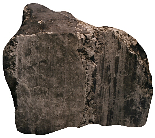 Fragment de la météorite ALH-84001 (image NASA)