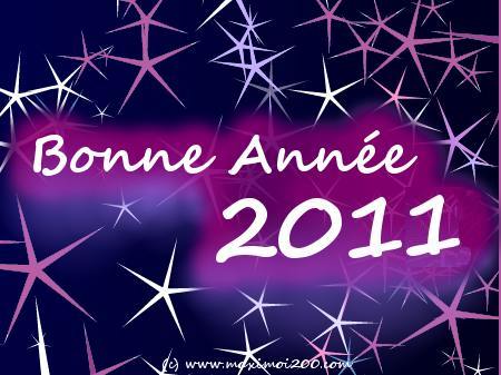 Bonne année 2011 !