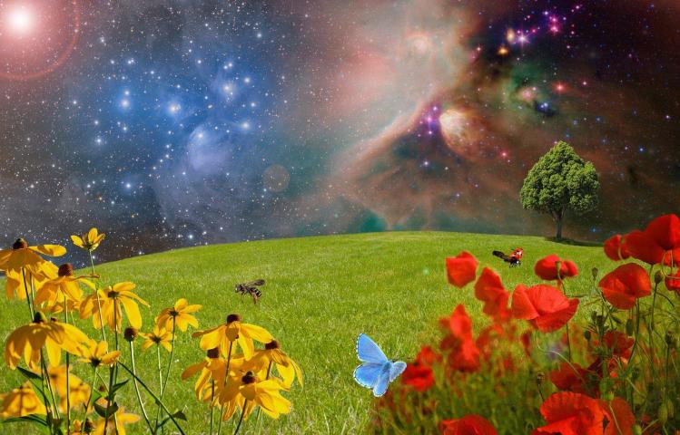 Journée Astro-botanique (image Astrorama)