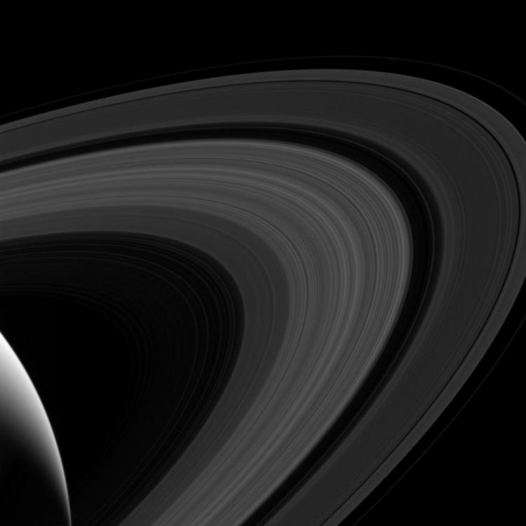 Les anneaux de Saturne, photographiés le 24 Juillet (image NASA)