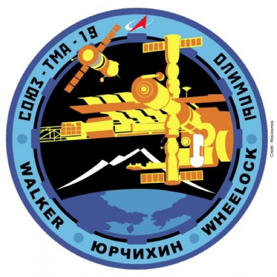 Logo de la mission TMA-19 (image Roscosmos)