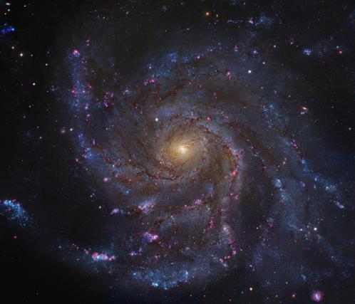 Messier 101 (image Robert Gendler)