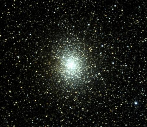Messier 19 (image Doug Williams)