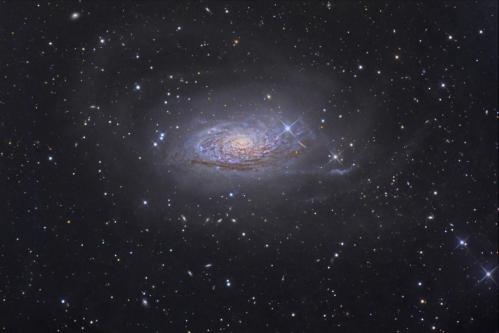 Messier 63 (image Tony Hallas)