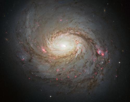 Messier 77 (image Hubble)