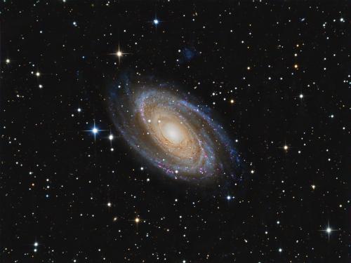 Messier 81 (image Inneberg-astro)