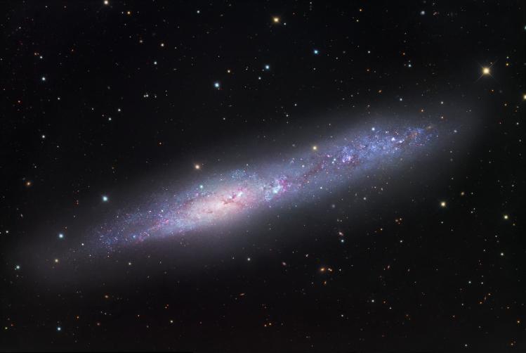 NGC55 (image Robert Gendler)